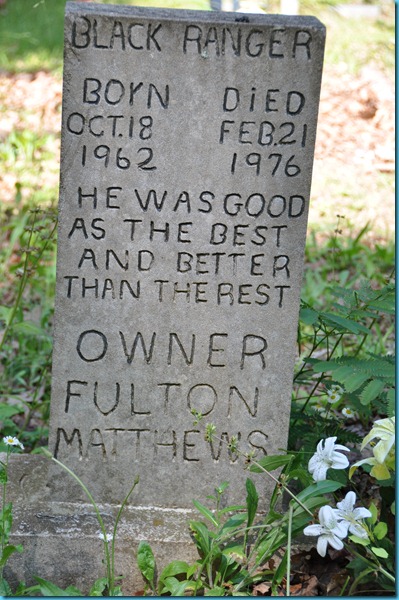 Nghĩa trang chó. Nguồn: http://rvdrivingschool.blogspot.ca/