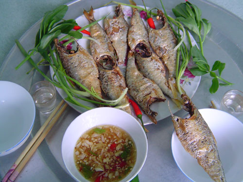 Cá mòi...Nguồn: thanhnien.com.vn