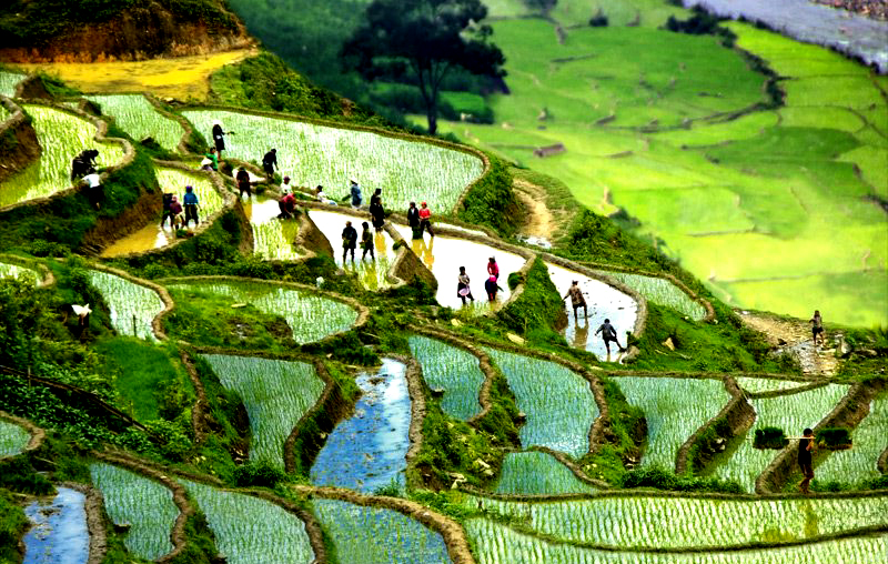 Ruộng nấc thang và càn đẹp Sapa. Nguồn: journeyvietnam.com 