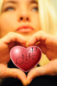 Hóa học của tình yêu, tác dụng của Phenylethylamine. Nguồn: http://asdn.net/asdn/chemistry/chemistry_of_love.php