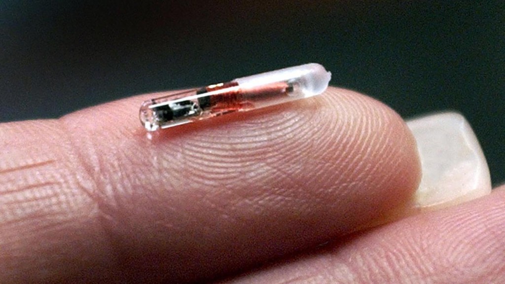 Con chip do công ty  VeriChip sản xuất trong những năm 2000  lưu trữ thông tin y tế cá nhân. Nguồn: Rhona khôn ngoan / AFP / Getty