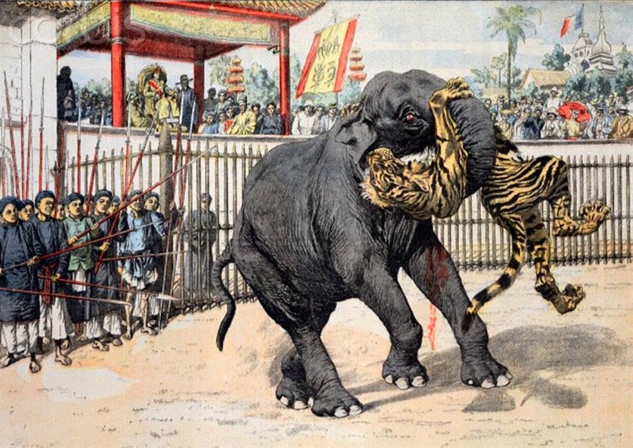 Vua Thành Thái ngự xem trận đấu voi và hổ. Ảnh: Flickr.com