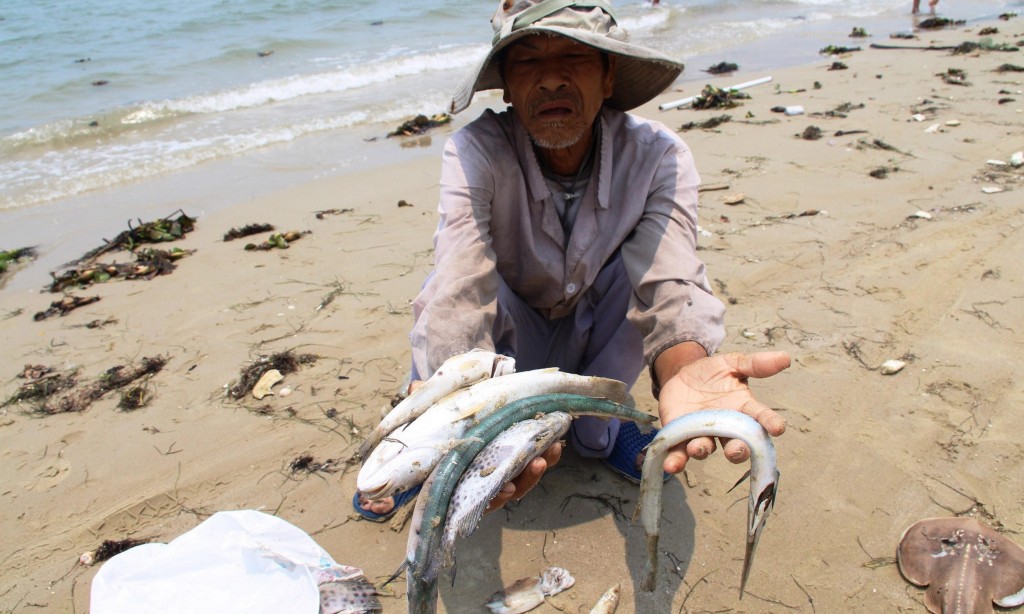 Một dân làng cho thấy những con cá biển chết mà ôngtìm thấy trên một bãi biển ở huyện Phú Lộc, ở tỉnh Thừa Thiên Huế. Ảnh: STR / AFP / Getty Images